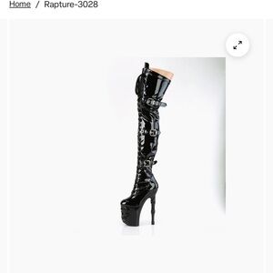 Pleaser Over The Knee Platform Boots